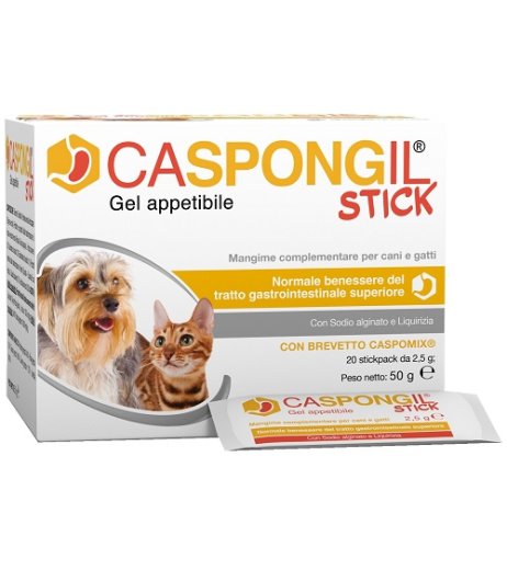 CASPONGIL STICK 20Stick Pack CASPONGIL STICK 20Stick Pack