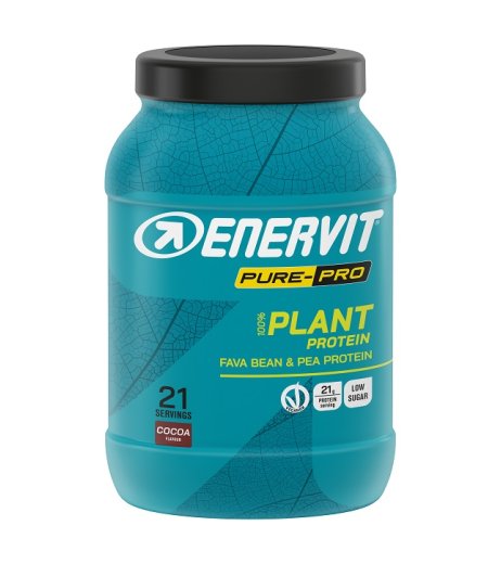 ENERVIT PP PROTEIN PLANT CACAO ENERVIT PP PROTEIN PLANT CACAO