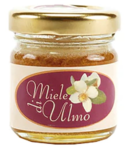 MIELE ULMO 40g