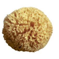 SPUGNA ARCIPELAGO MED NAT 12