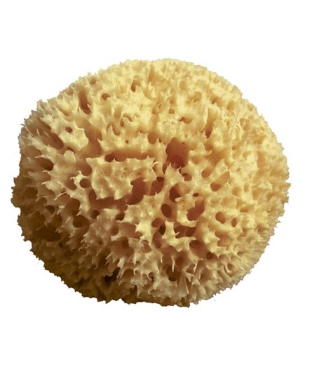 SPUGNA ARCIPELAGO MED NAT 12