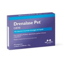 DRENALASE PET 20 CANE 20CPR