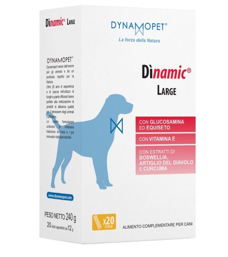 DINAMIC LARGE 20 Stick 12g
