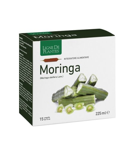 MORINGA 15AB 15ML