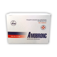AMOBRONC AER 10F 2ML 15MG