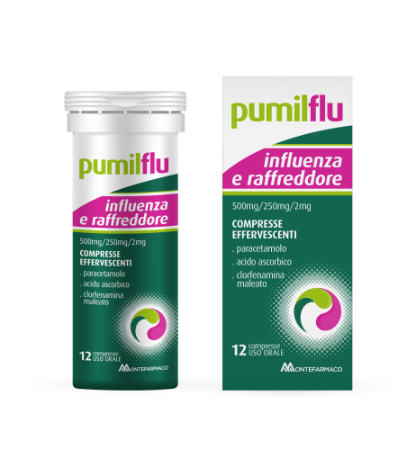 LEVIOFLU INFLUENZA E R*12CPR